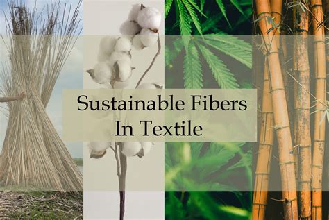 Quinoa Fiber: A Sustainable Solution for Eco-Friendly Textiles?