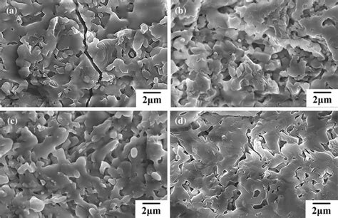 SiO2 Nanoparticle: Reinventing Ceramics and Enhancing Catalysts!